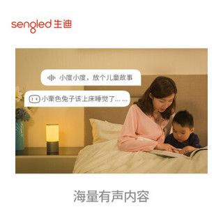  sengled 生迪 AI音响灯 银色