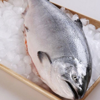 肴易食 新西兰冰鲜帝王鲑鱼 整条9斤