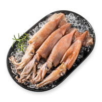天猫生鲜 凯洋加纳鱿鱼 400g