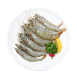 纯色本味 冷冻厄瓜多尔白虾 400g  20-27只  