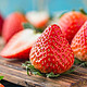  限地区：易果生鲜 国产红霞草莓 1盒 400g　