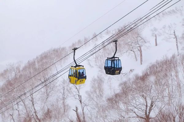 星野集团 日本北海道星野OMO7旭川2晚套餐(可选动物园/滑雪套餐)