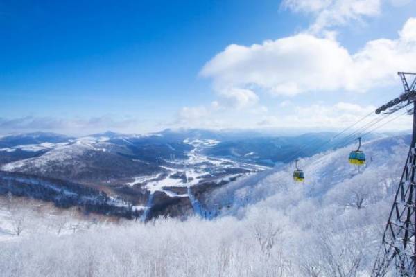 星野集团 日本北海道星野OMO7旭川2晚套餐(可选动物园/滑雪套餐)