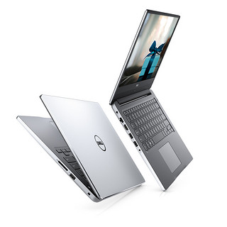 DELL 戴尔 灵越系列 5000系列 灵越 15 5593 笔记本电脑 (银色、酷睿i5-1035G1、8GB、256GB SSD、核显)