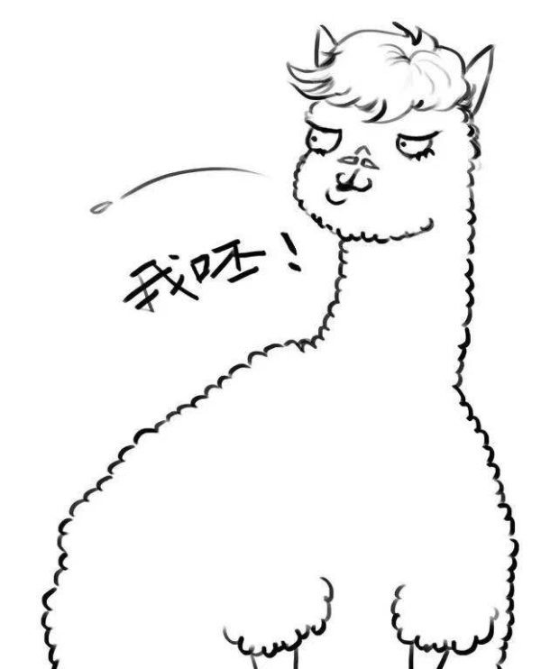 宠物活体超萌神兽羊驼米黄色