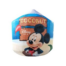 迪士尼 泰国进口椰青原箱9个 单果约700-900g 新鲜水果
