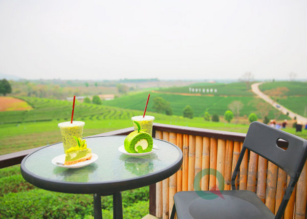 泰国清莱白庙+绿色有机茶园1日游（酒店接送+中文导游+午餐）