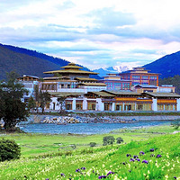 藏式度假体验！西藏林芝鲁朗恒大酒店1晚套餐（含早餐+晚餐+鲁朗门票）