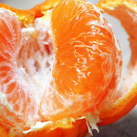 清江马渡河椪柑 一级大果 5斤