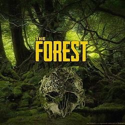 《The Forest（森林）》PC数字版游戏