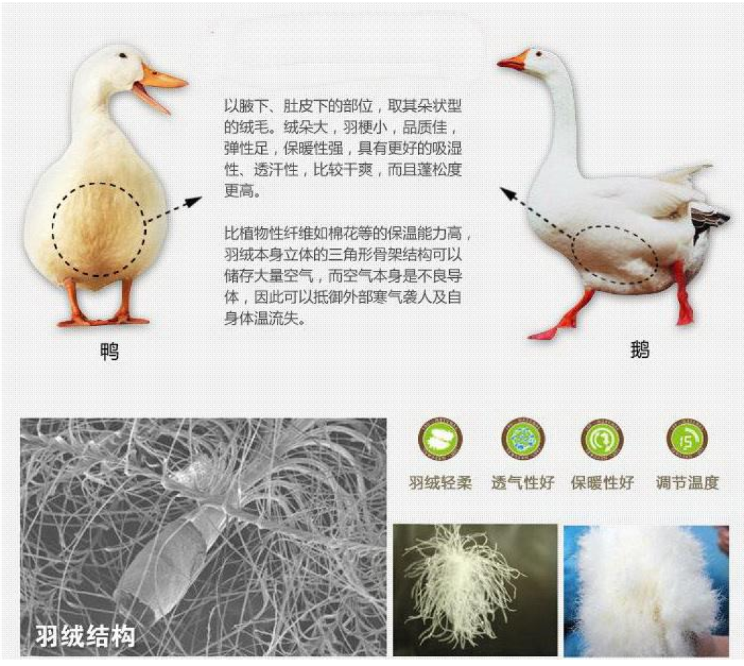 一荐:穿了这么多年的羽绒服,你穿对了吗?