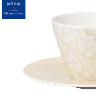 Villeroy & Boch 德国唯宝 DW144 咖啡杯碟套装 (浅绿)