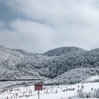 重庆金佛山滑雪赏雪纯玩一日游（含索道电瓶车+滑雪+上门接送+保险）