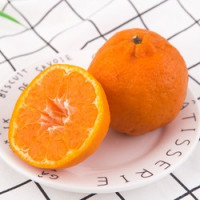 MAIYOU 麦柚 衢州椪柑 丑橘 5斤