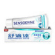 SENSODYNE 舒适达 NovaMin 专业修复 抗敏感牙膏 薄荷味*3支+原味*3支