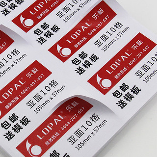 LOPAL 乐标 A4不干胶标签打印纸 80张