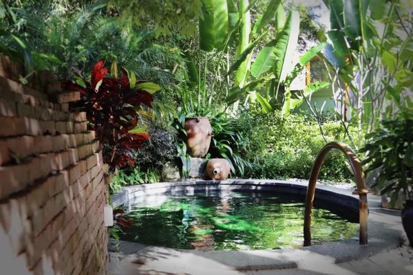 四季恒春，避世度假，邂逅中国第五家Angsana！开业预售 西双版纳悦椿温泉度假酒店1晚套餐