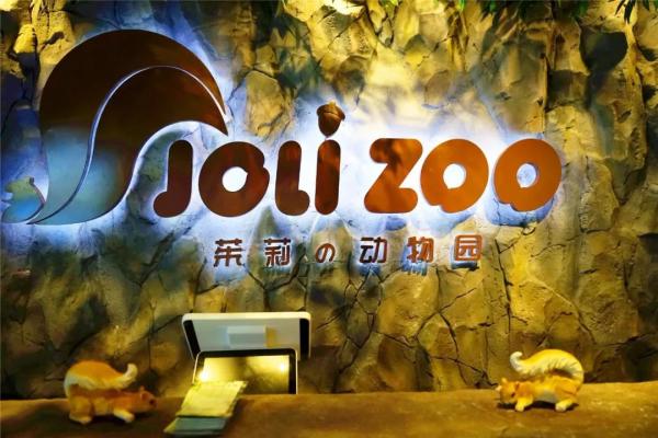 上海最大室内动物园3000㎡九大区域约会2000余只珍稀海陆生物