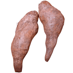 星炫云南金秤砣山药扁山药5斤装