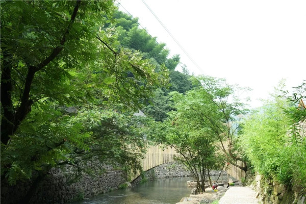 酒店特惠：自然里长出的野奢部落，自带地暖的神秘树屋！余姚树蛙部落1晚套餐
