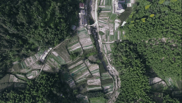 酒店特惠：自然里长出的野奢部落，自带地暖的神秘树屋！余姚树蛙部落1晚套餐