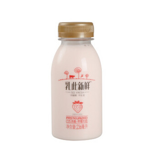 完达山 乳此新鲜 巴氏杀菌 全脂草莓牛奶 236ml（两件起售） *31件