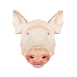精气神 长白山山黑猪 猪头 4.3kg/袋（1个） 