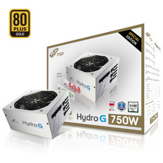 FSP 全汉 Hydro G 750 White 金牌全模组电源 750W