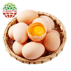 农村家散养土鸡蛋 笨鸡蛋 林地散养初产鲜柴鸡蛋 10枚装
