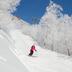 专业G.O，一价全包，含免费专业教练滑雪课程！Club Med北海道佐幌度假村4晚套餐