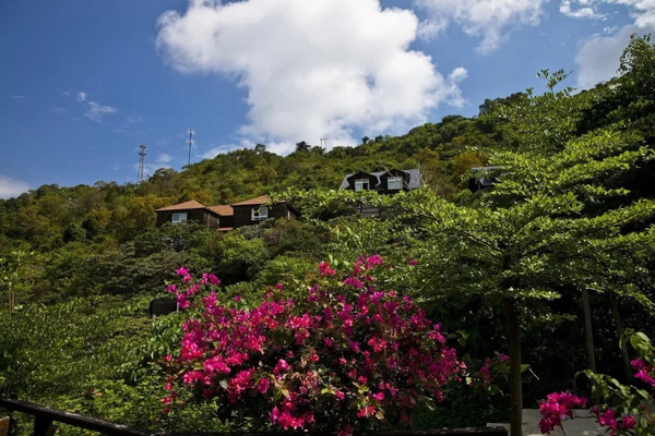 住面朝大海的山林间，享私人沙滩、温泉！深圳皇庭柚柑湾度假酒店1晚套餐