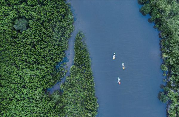 独享整片海湾​，2大2小全家冬令营！三亚亚龙湾瑞吉度假酒店2晚套餐