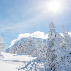 温泉滑雪、冬捕篝火趴 全国多地-哈尔滨+亚布力+雪乡+镜泊湖+长白山5天4晚跟团游