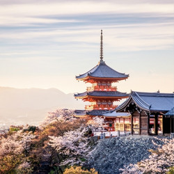 春节、樱花季可订 全国多地-日本东京/大阪5-6天自由行