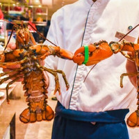 东星斑+鲜活蓝龙虾+进口生蚝畅吃！上海外高桥喜来登酒店海鲜自助晚餐