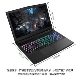 Hasee 神舟 CN95S04 游戏笔记本电脑 (黑色、GTX1060、8GB、256GB SSD、i5-8400)