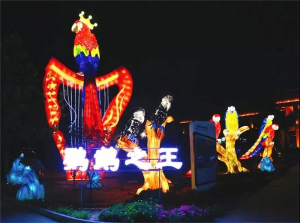 赏花灯,看传统民俗表演!北京南宫 2019年新春游园灯光夜场门票