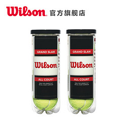 Wilson威尔胜 训练用球 耐用3只装训练球GRAND SLAM *2 组合