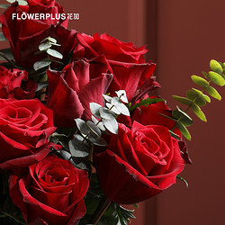 FlowerPlus 花加 耳语 红玫瑰花束 11枝