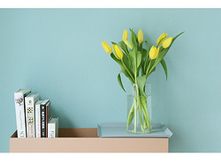 Flowerplus花加卖空花田玫瑰鲜花剑兰花束云南直发向日葵绣球包邮多少钱 什么值得买