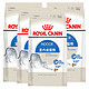 ROYAL CANIN 皇家 I27 室内成猫粮 0.4kg*4 *2件