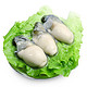 海鲜世家 韩国冷冻进口生蚝肉（牡蛎肉） 500g 22-27只 *5件