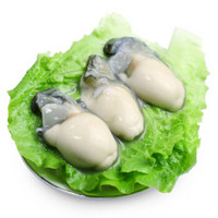 鸥米茄 海鲜世家 韩国冷冻生蚝肉（大号牡蛎肉） 500g 22-27只 袋装  火锅食材 海鲜水产