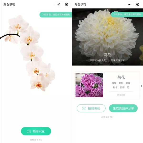 手机内存告急？这些实用的微信小程序会让你相识恨晚