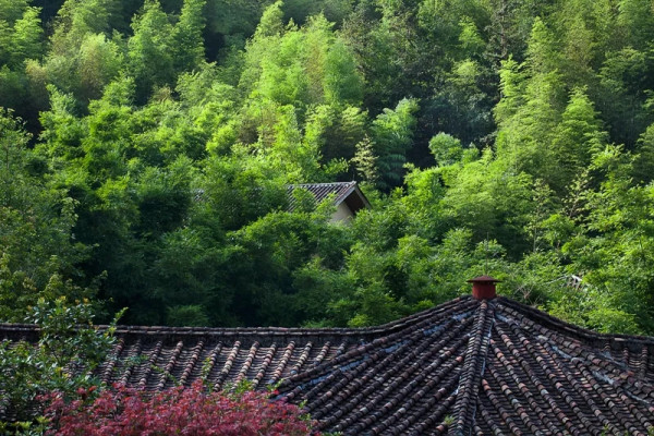 全球生态度假村50强，踏青赏花正当时！惠州 南昆山十字水生态度假村 别墅套房2间夜套餐