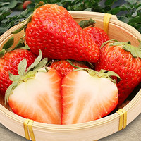 圣野果源 丹东99草莓 3斤