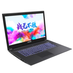 Hasee 神舟 战神GX9-CR5S1 17.3英寸游戏本 （i5-8400、8G、512G、RTX2070、120Hz、94%）
