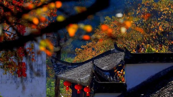 徽式禅意与工业风的碰撞!安徽黄山 魔宿·厢居集装箱野奢民宿1晚套餐