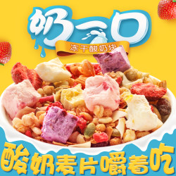 DZONE 美味地带 酸奶水果燕麦片 500g