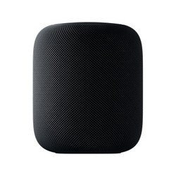 Apple 苹果 HomePod  智能音箱 深空灰 公开版